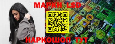 крисы Донецк