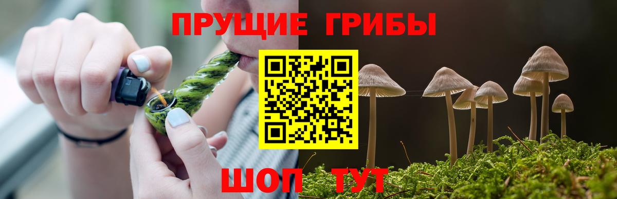 Галлюциногенные грибы Psilocybine cubensis  Псилоцибиновые грибы ЛСД  Луховицы  Вход с VPN 